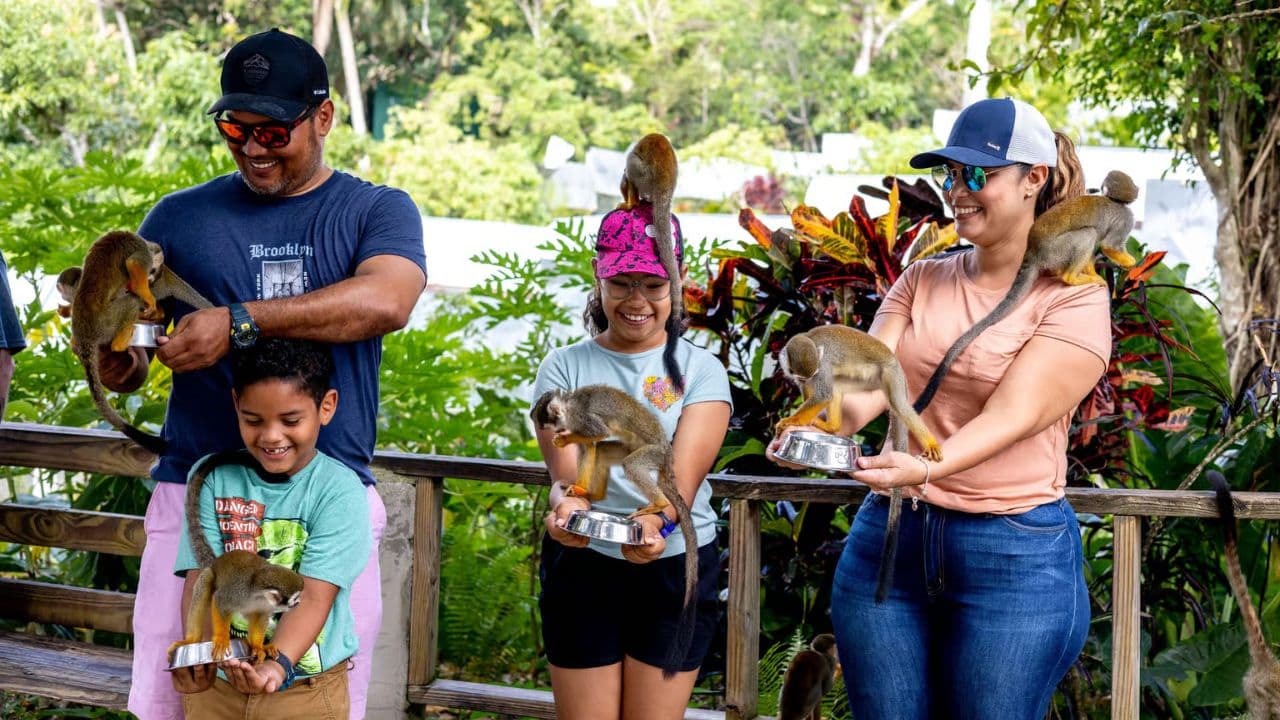 Punta Cana: Jízda na koni přes krásné pláže — Guided tour and outdoor activity