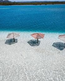 Von Santo Domingo: Insel Cabra und Grand Gossier Sandbank — Guided tour and outdoor activity