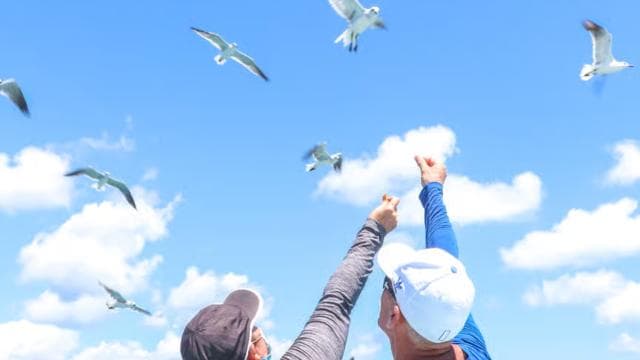 Von Punta Cana: Ausflug zur Insel Saona mit dem Schnellboot mit Mittagessen — Guided tour and outdoor activity