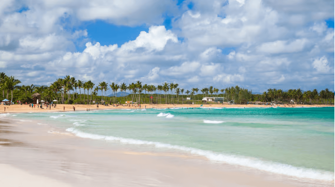 Última expedición en buggy desde Punta Cana con cenote azul in Book Punta Cana Tours