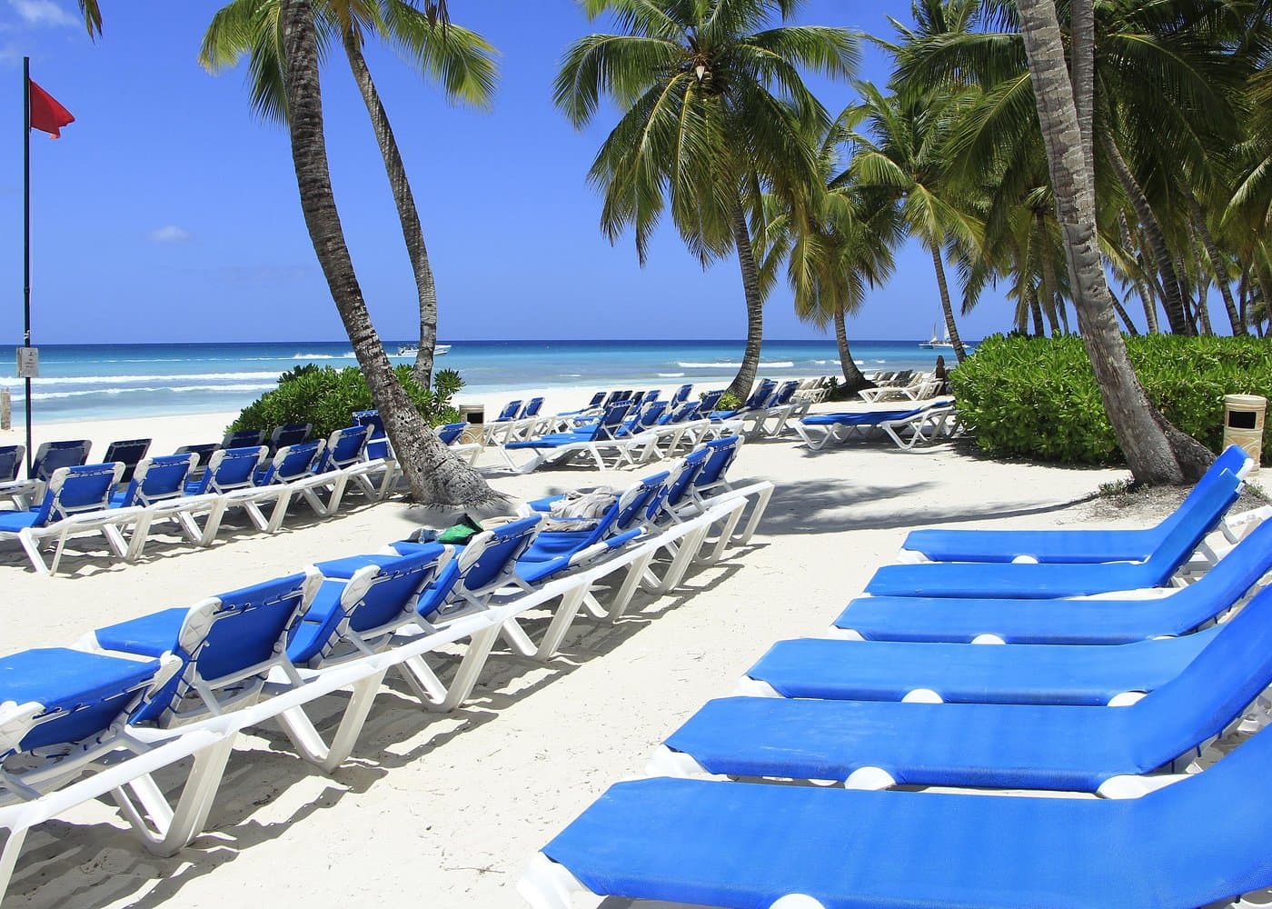 Saona Island Tour for First-Time Visitors: Full Guide