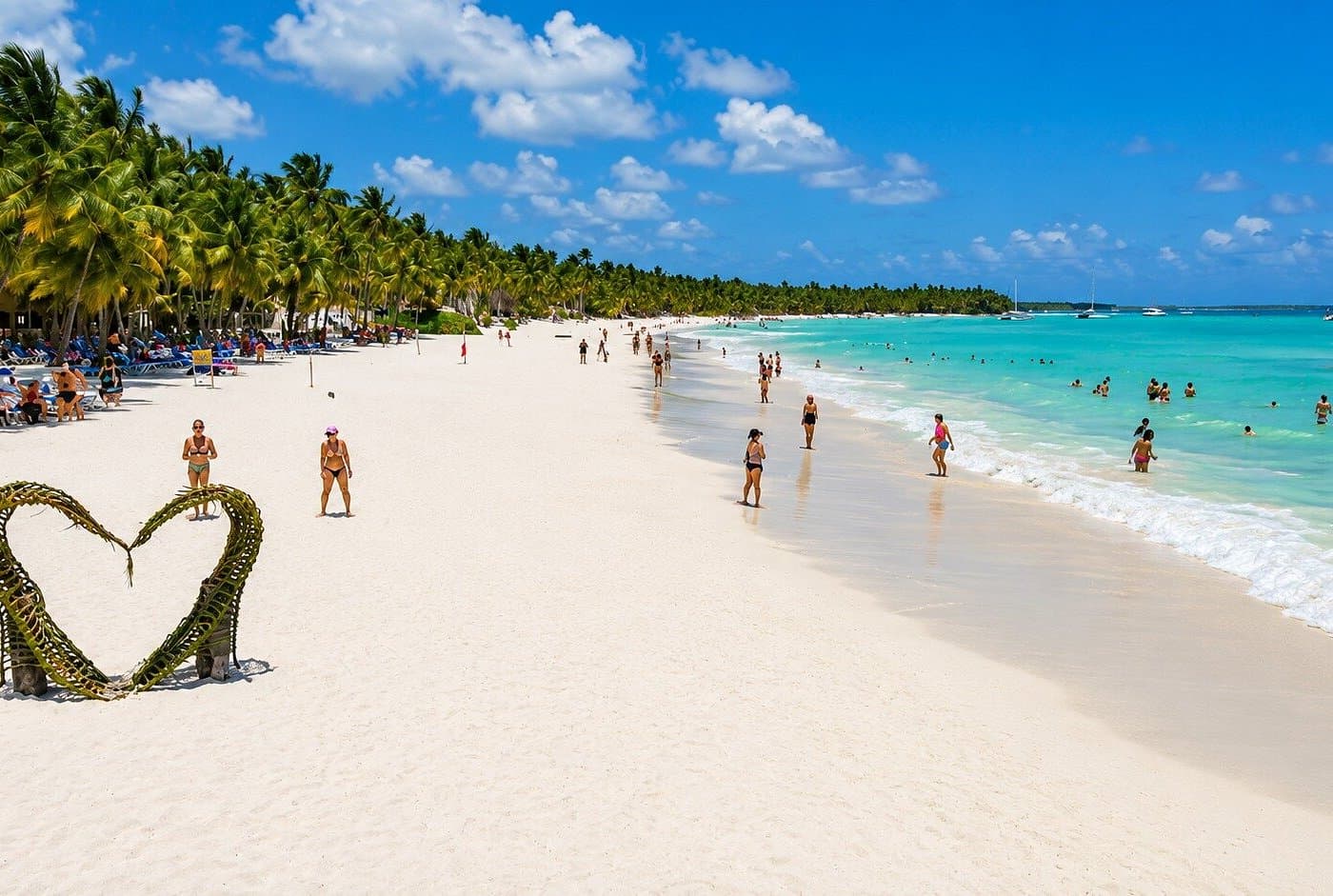 Saona Island Starfish: Where to See Them & Protect Them