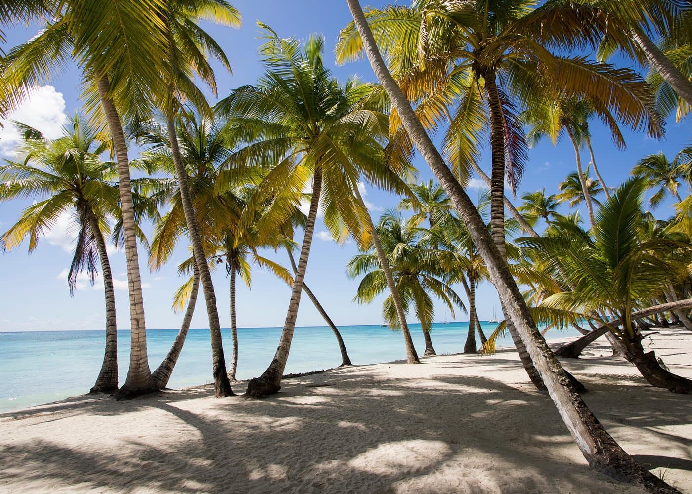 Saona Island Tour for Seniors: Comfort & Accessibility