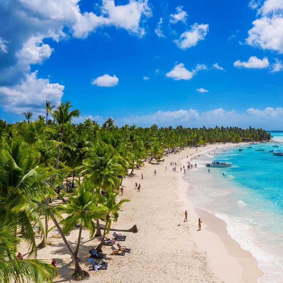 Punta Cana: Saona Island Full-Day Open Bar, Lunch & Transfer — Guided tour and outdoor activity