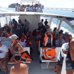 From Punta Cana: Samana Cayo Levantado Whales â Guided tour and outdoor activity