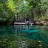 Swim in the Cenotes Ojos Indígenas - Image 2