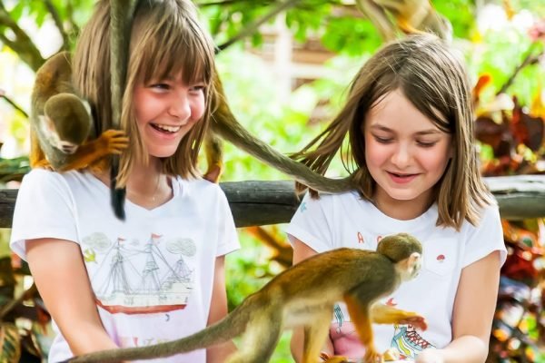 Punta Cana: Opičí země: půldenní safari a plantáže