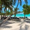 Punta Cana: Catamaran to Saona Island with Lunch & Open Bar - Image 7