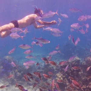 Catalina Island Full-Day Snorkeling Tour expedition