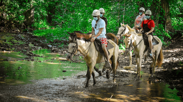 Punta cana: 3 tour zip line, buggy and horse ride.