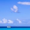 Punta Cana: Saona Island in Private Vehicle and Guide – Bild 11
