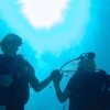 From Punta Cana: Private Catamaran Catalina Island Full-Day - Image 3